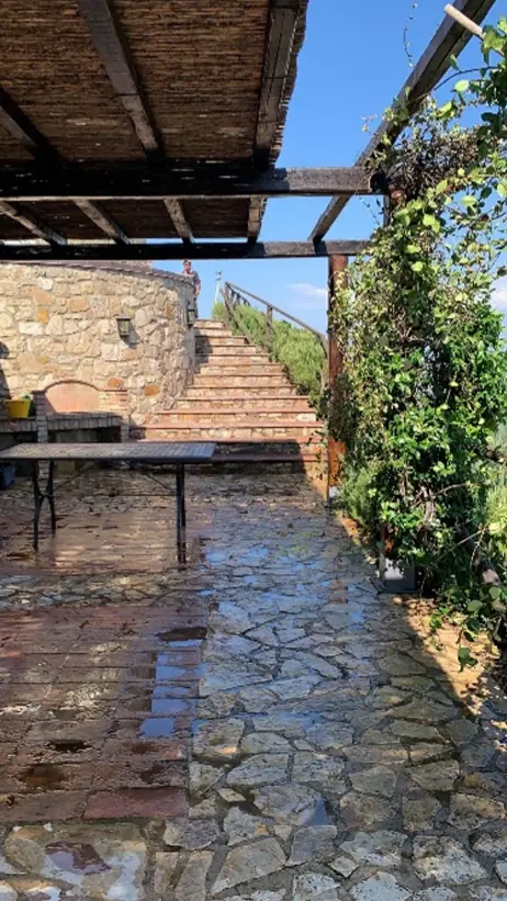 Chestnut and bamboo gazebo in Collelungo, San Venanzo (TR) - Giovanni Bibaj Renovations (8)