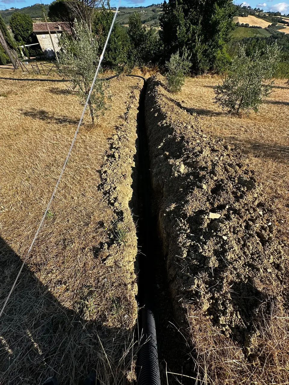 Gestione e manutenzione oliveti a Todi, Umbria - Giovanni Bibaj Renovations (3)