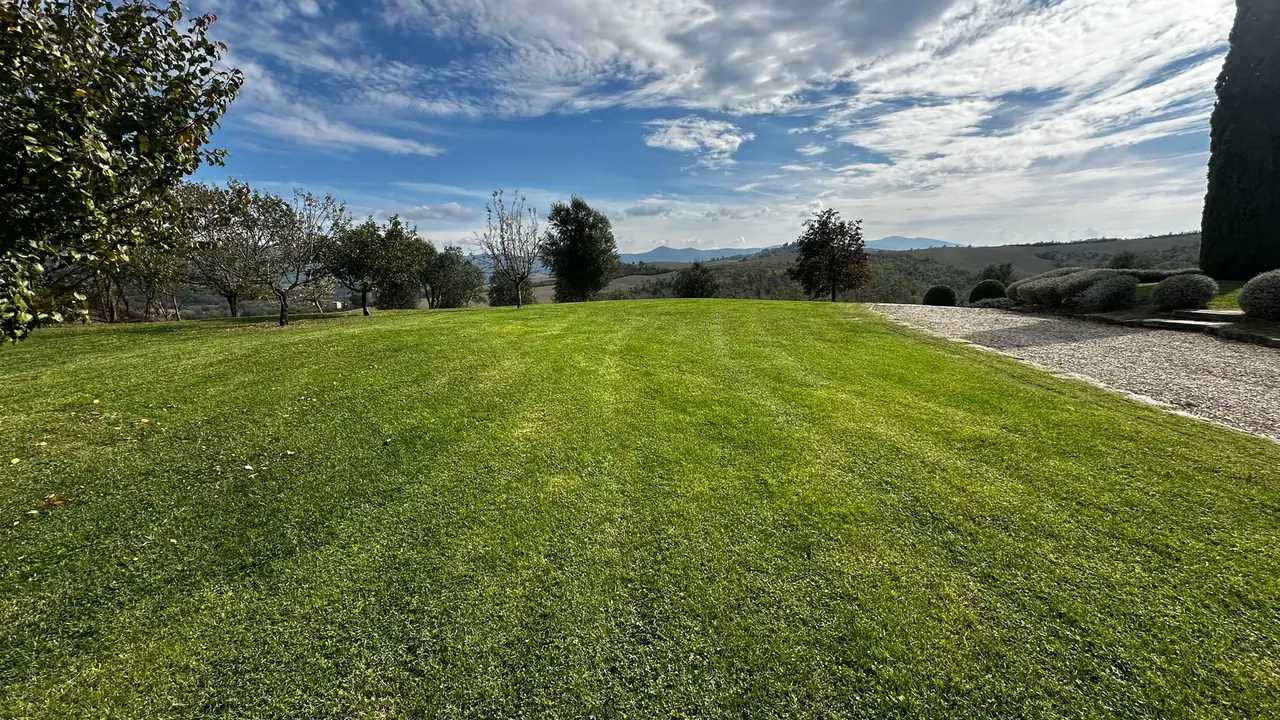 Servizi di giardinaggio professionale a Todi, Umbria - Giovanni Bibaj Renovations (1)