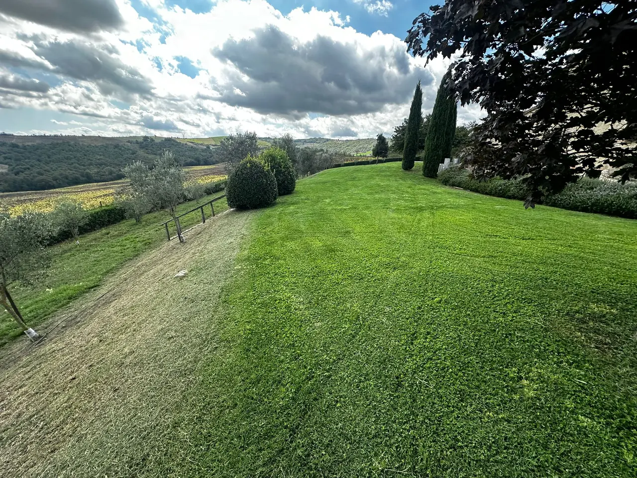 Servizi di giardinaggio professionale a Todi, Umbria - Giovanni Bibaj Renovations (2)