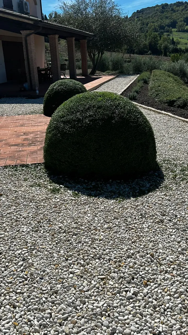 Servizi di giardinaggio professionale a Todi, Umbria - Giovanni Bibaj Renovations (3)