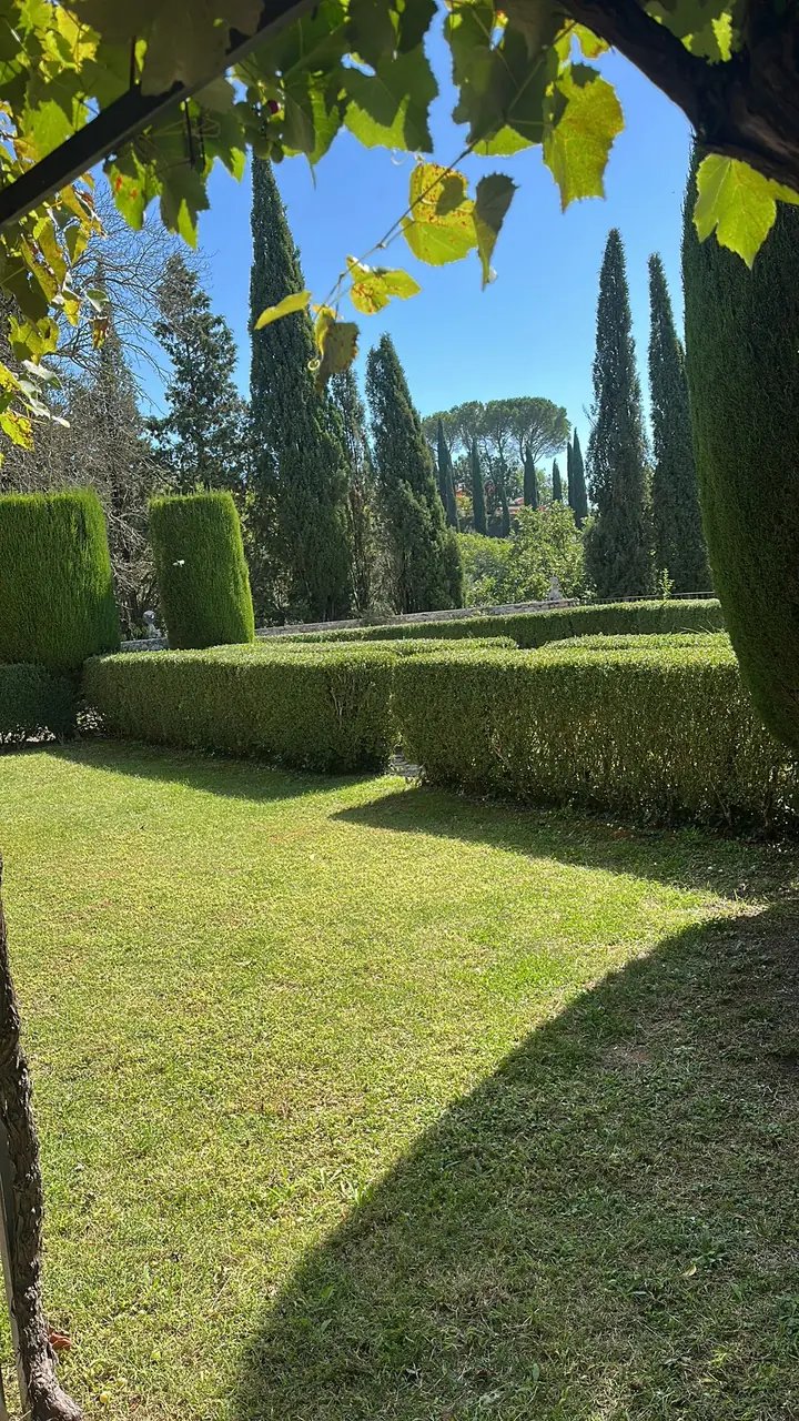 Servizi di giardinaggio professionale a Todi, Umbria - Giovanni Bibaj Renovations (4)